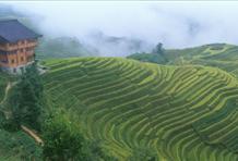 China: Clash Of Old And New